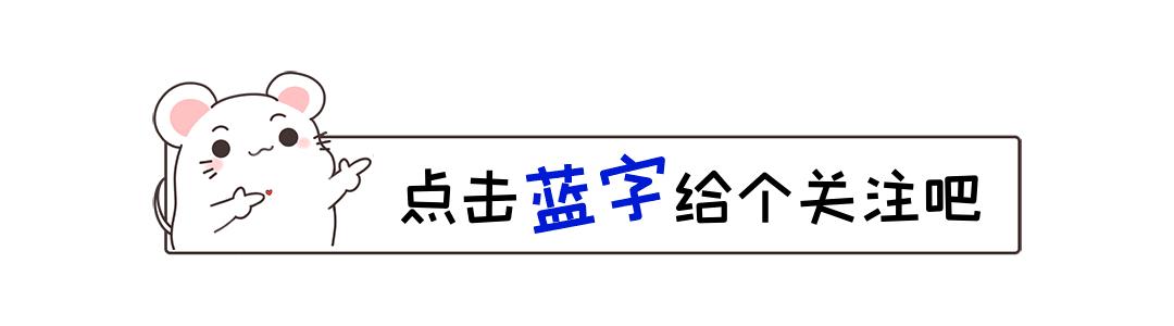 辛巴最新動態(tài)全面解析