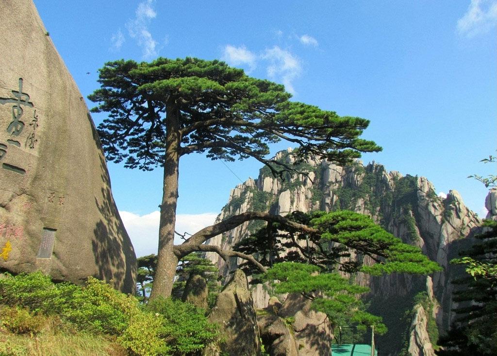 黃山風(fēng)景最新圖片，自然之美的永恒記錄展示