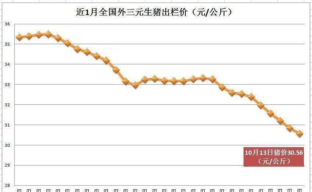 2024年11月8日 第55頁