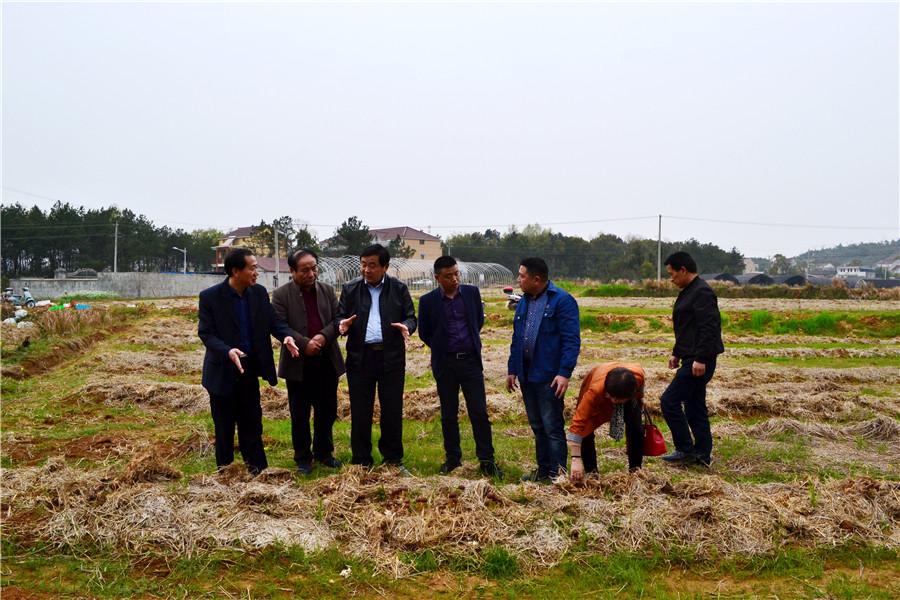 安徽民生工程新政策，構(gòu)建公平可持續(xù)的社會保障體系