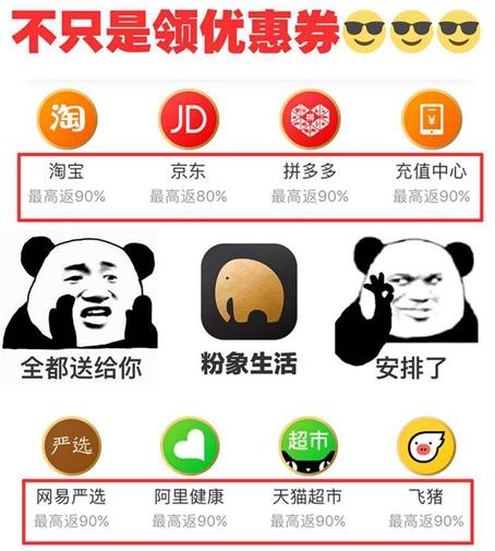 粉象生活最新版下載，探索全新生活方式的必備應用