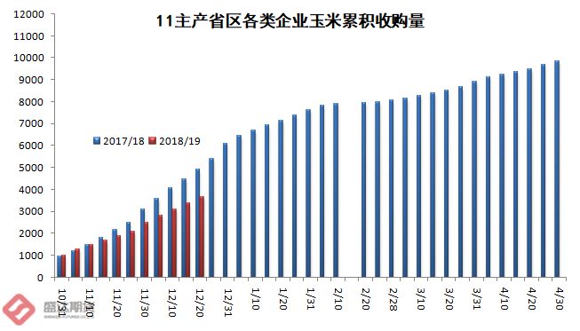東北玉米期貨最新消息深度解讀與走勢分析