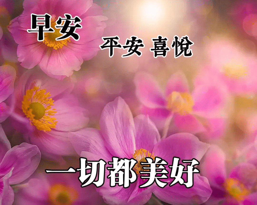 每日早上好圖片，喚醒美好一天的溫馨問(wèn)候