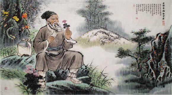 鄉(xiāng)村神醫(yī)張凡最新更新，醫(yī)術(shù)傳承與濟(jì)世情懷的醫(yī)者傳奇