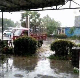 浙江蒼南縣臺(tái)風(fēng)最新動(dòng)態(tài)及其影響概述