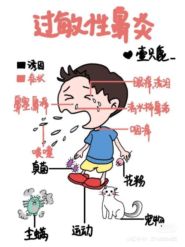 最新健康醫(yī)學(xué)科普知識(shí)，探索健康新領(lǐng)域