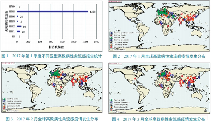 全球禽流感防控進(jìn)展與應(yīng)對策略，以2018年為例的最新消息關(guān)注