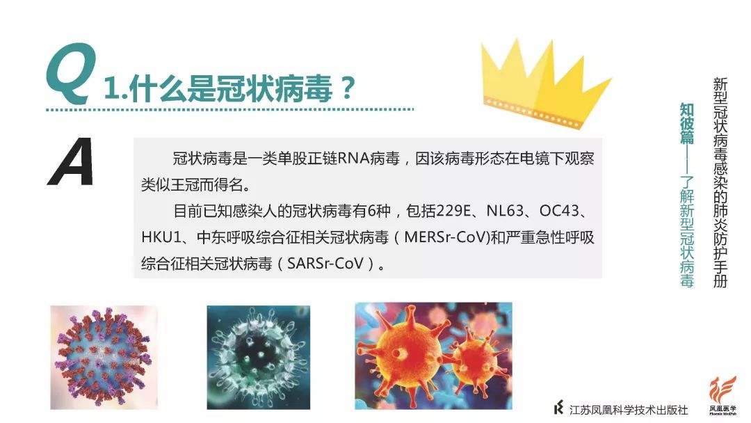 最新型冠狀病毒概況概述