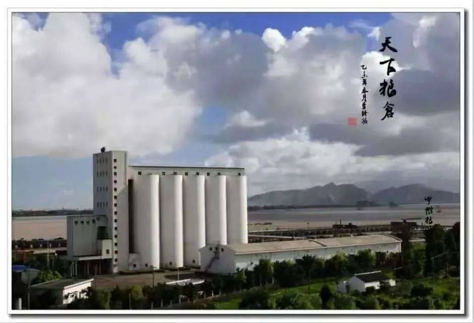 中儲糧回應(yīng)最新動態(tài)，保障糧食安全，靈活應(yīng)對市場變化挑戰(zhàn)