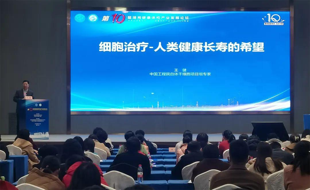 干細(xì)胞治療前沿進(jìn)展揭秘，最新研究成果與趨勢(shì)分析