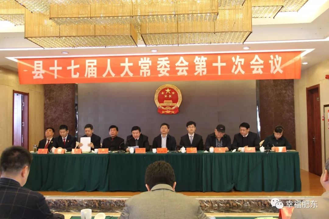 肥東最新人事任免動態(tài)概覽