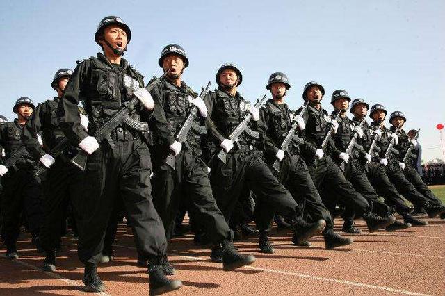 全面解讀與深入剖析，最新警察政審標(biāo)準(zhǔn)公布