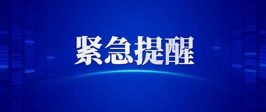 寧陽最新新聞視頻報(bào)道，城市發(fā)展與動(dòng)態(tài)軌跡概覽