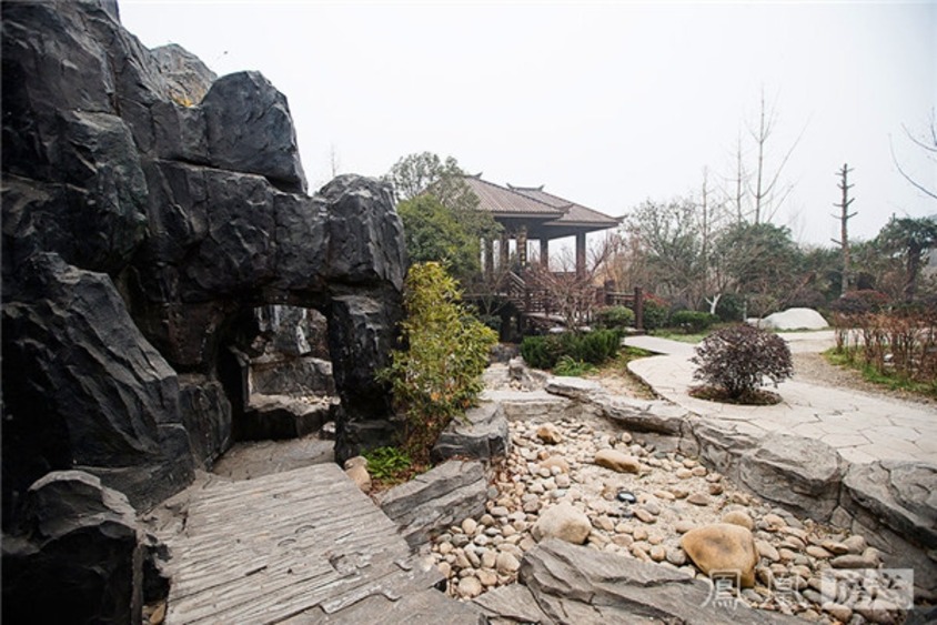 綠地國(guó)港城最新報(bào)道，揭示城市發(fā)展前沿動(dòng)態(tài)