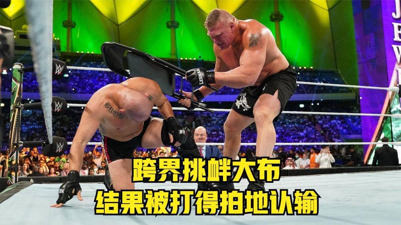 澳彩資料免費背后的風(fēng)險與犯罪問題需警惕，WWE資料全解析