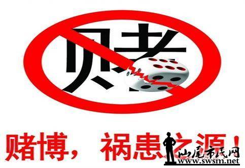 警惕新澳門精準資料的潛在風險，遠離賭博犯罪陷阱