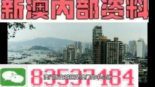 警惕2024新澳門精準免費大全，防范違法犯罪行為的重要性
