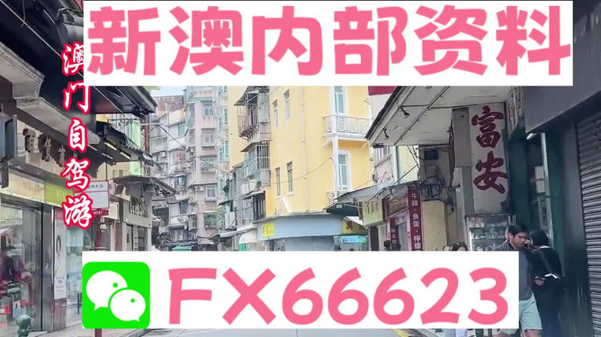 新澳精準(zhǔn)資料免費(fèi)提供的價(jià)值與影響