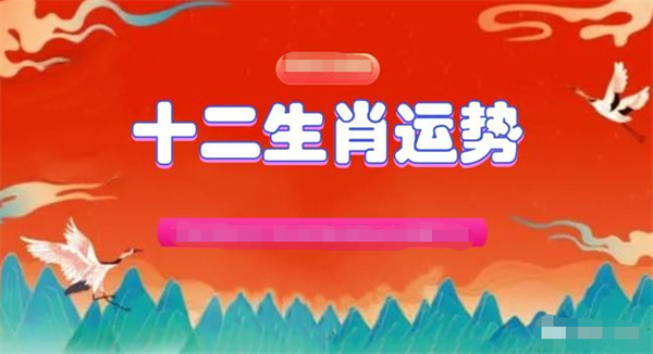 精準(zhǔn)預(yù)測，一肖一碼一子一中的神秘魅力揭秘