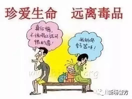 澳門原料免費大全背后的警示，珍惜人生，遠離違法犯罪風(fēng)險