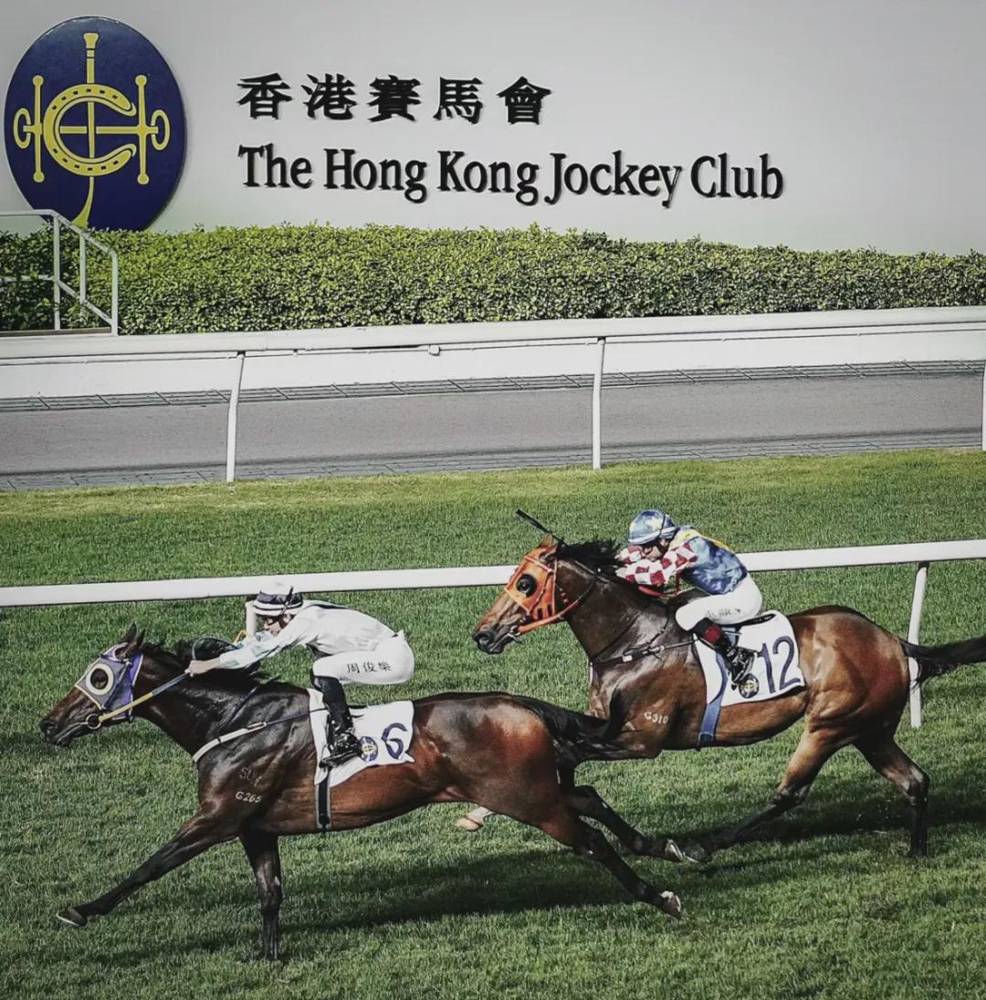 香港賽馬運動，探索魅力與機(jī)遇，2024最準(zhǔn)馬資料免費分享