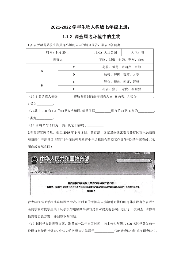 新奧全部開獎記錄查詢，探索與解析
