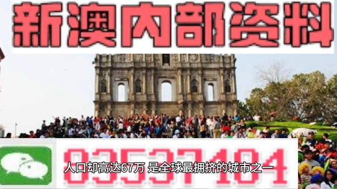 揭秘未來趨勢，解析2024新澳精準(zhǔn)正版資料探索