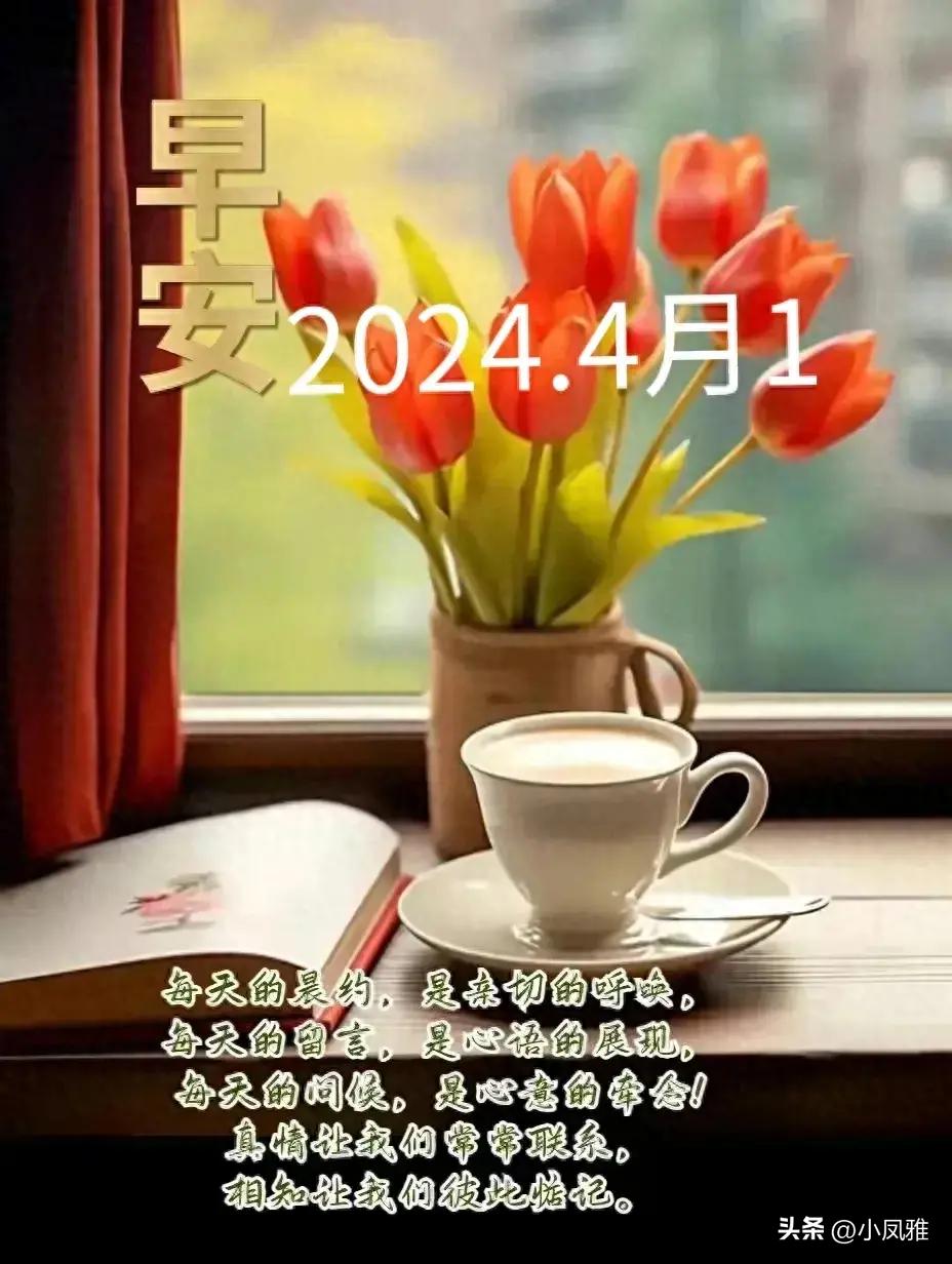 深度解析，探索2024天天彩全年免費(fèi)資料全攻略