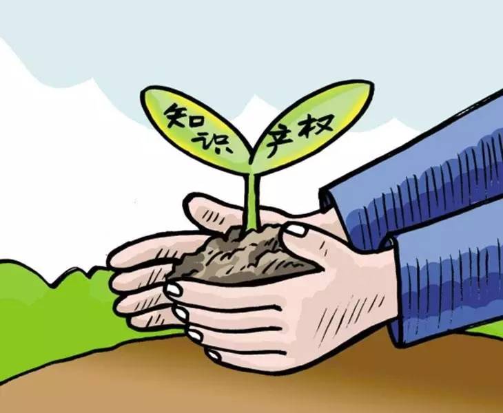 警惕虛假信息陷阱，新澳門(mén)資料免費(fèi)公開(kāi)背后的真相與法律警示