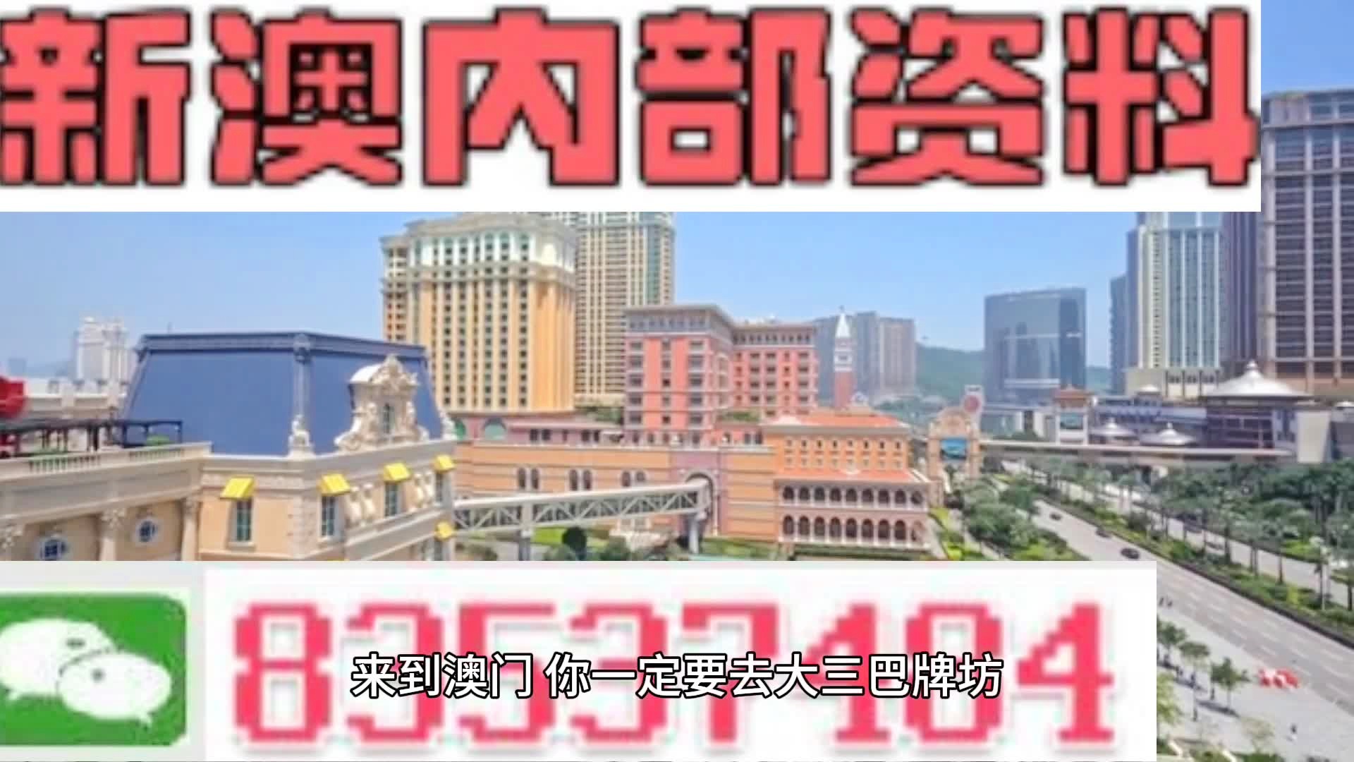 2024新澳精準(zhǔn)資料大全詳解手冊(cè)