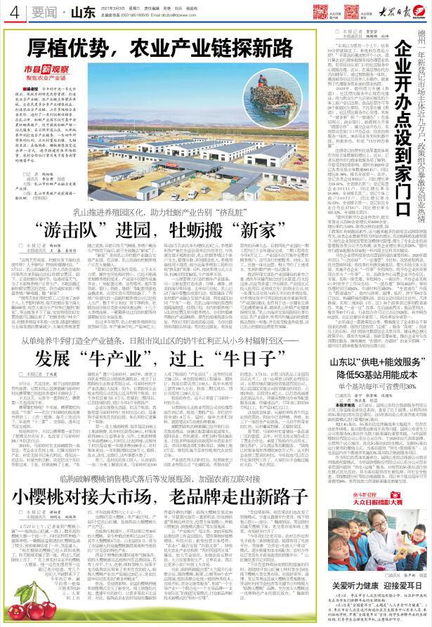 新奧正版全年免費(fèi)資料，探索與啟示之旅