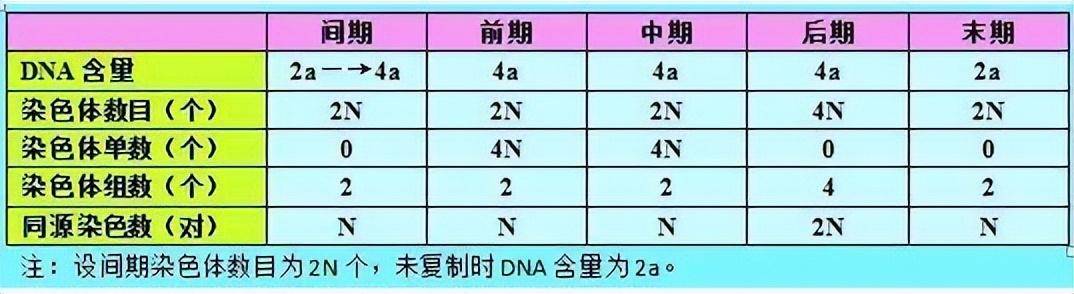 澳門王中王100的資料2023