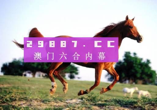 澳門一肖一碼一一特一中廠，神秘魅力背后的探尋
