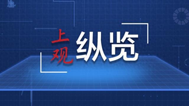 稅務(wù)評(píng)級(jí) 第37頁