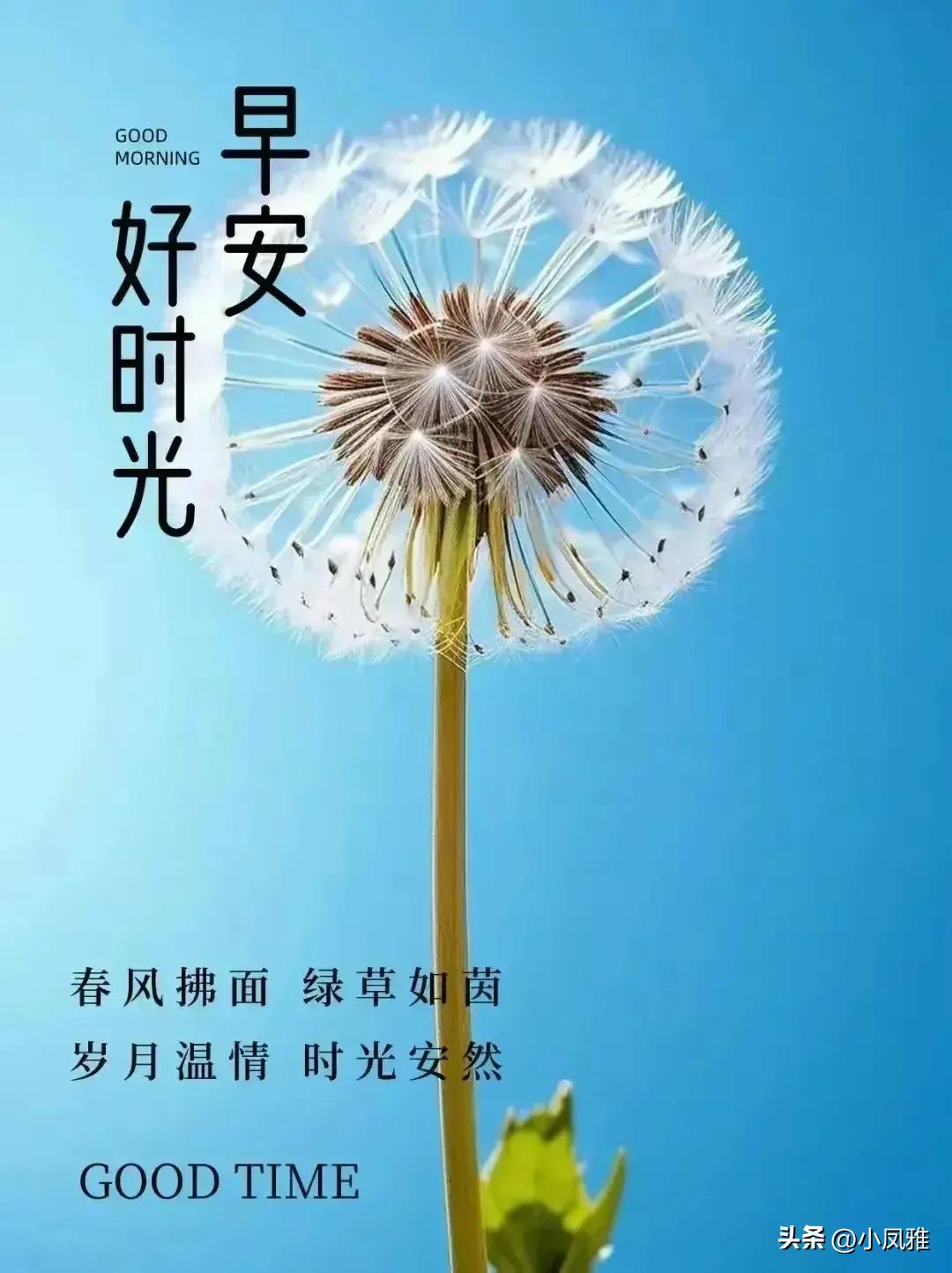 深度解析，探索2024天天彩全年免費(fèi)資料全攻略