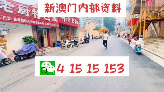 探索彩票文化新紀(jì)元，澳門(mén)天天開(kāi)好彩，2024年展望