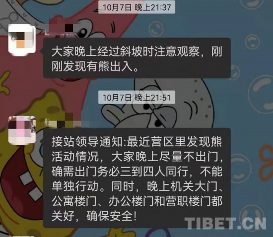 一肖一碼一必中背后的真相揭秘與警示