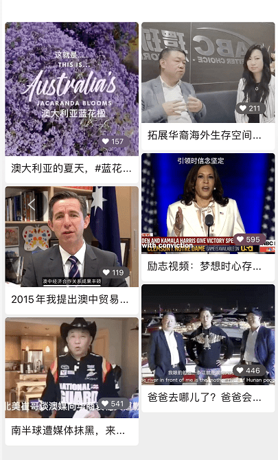 新澳天天彩正版資料背后的警示錄，揭示犯罪現(xiàn)象的真相與反思
