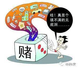 澳門管家婆一肖，探討、反思與警惕違法犯罪的重要性