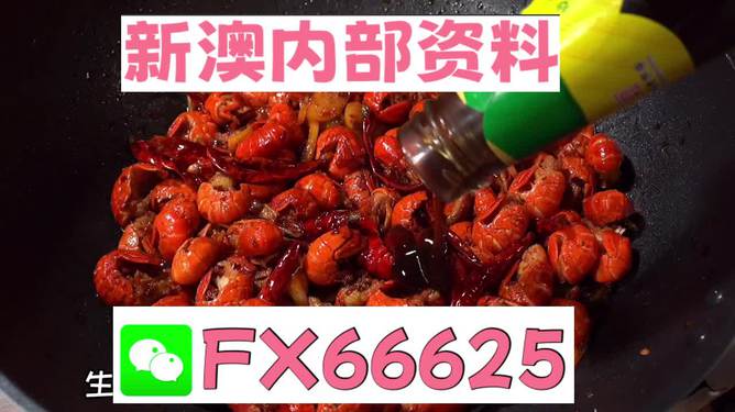 2024新澳資料大全探討，精準(zhǔn)信息的背后警示