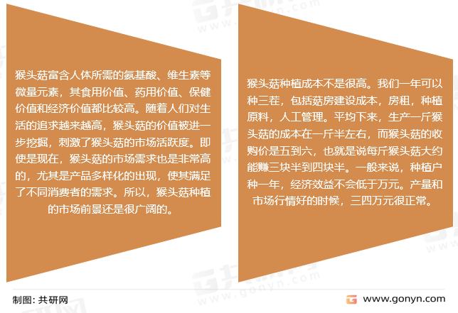 2024新奧正版資料大全，全面解析與深度探索
