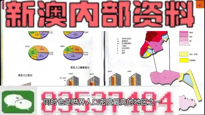 關(guān)于新澳新澳門(mén)正版資料的探討，警惕違法犯罪風(fēng)險(xiǎn)！