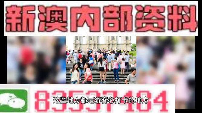 新澳精準(zhǔn)資料網(wǎng)站涉嫌違法犯罪，免費(fèi)資料背后的風(fēng)險(xiǎn)探究