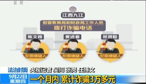 揭秘精準(zhǔn)一肖一碼一子一中，犯罪問題浮出水面
