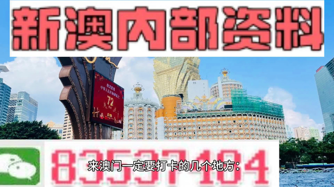 關(guān)于新澳精準(zhǔn)正版資料的探討，警惕違法犯罪風(fēng)險(xiǎn)警示