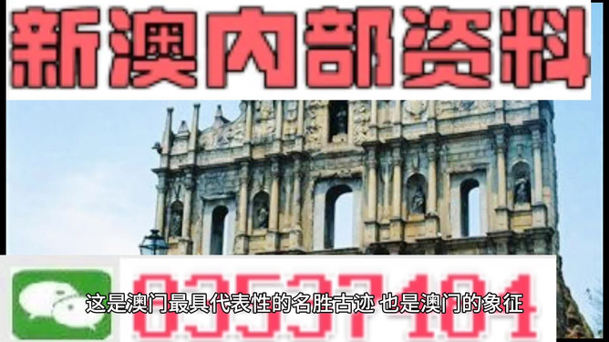 新澳2024正版資料免費(fèi)公開及相關(guān)問題深度探討