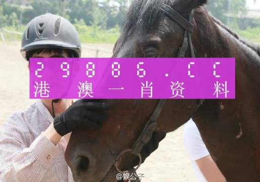 澳門一肖一碼背后的真相與警示，違法犯罪問題揭秘