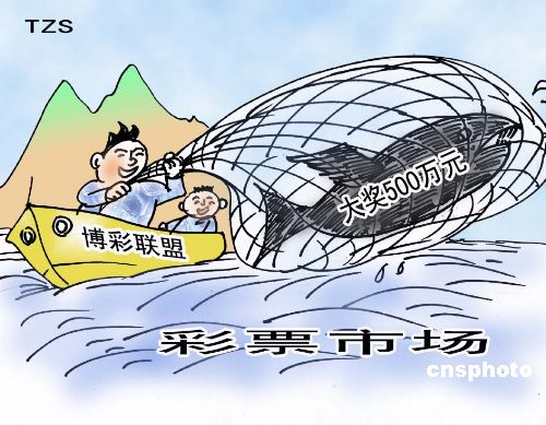 稅務(wù)評級 第15頁