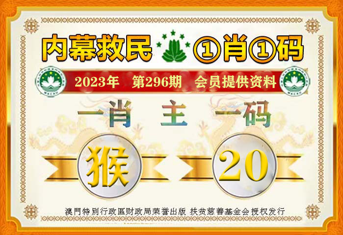 稅務評級 第13頁