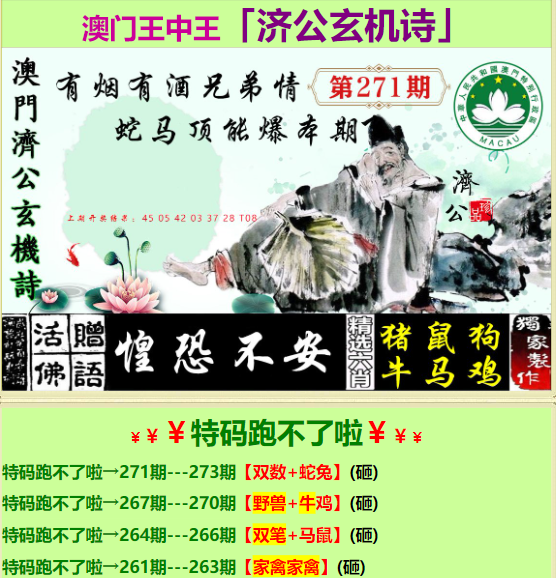 揭秘王中王正版資料背后的故事與真相